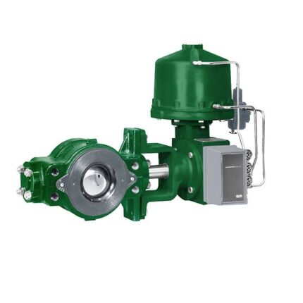 Fisher™ V250 Kontrol Vanası